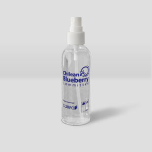 Botella alcohol gel chlean blueberry