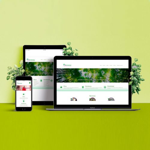 Web B-Ambiental