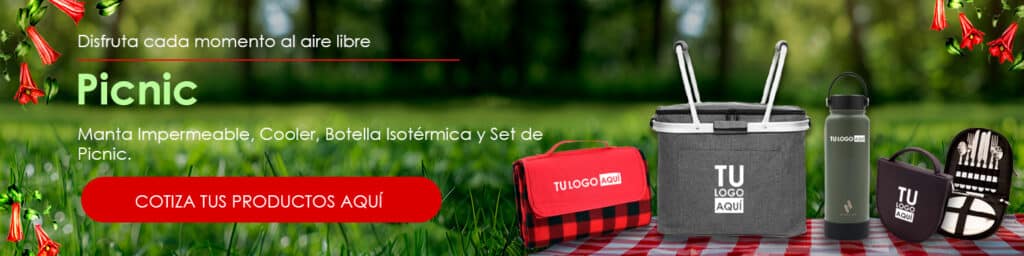 Portada blog Picnic