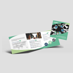 Tríptico Institucional TSG