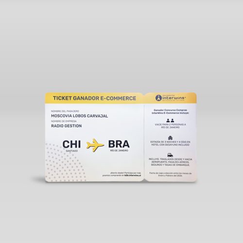 Ficticio ticket avión interwins