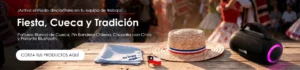 Banner blog especial cuequero Bullet